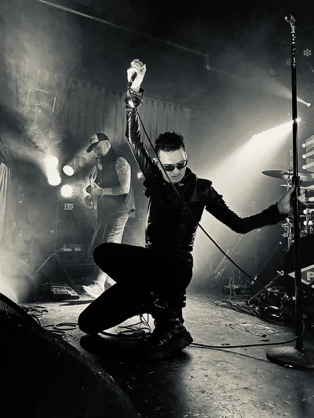 PIG playing live